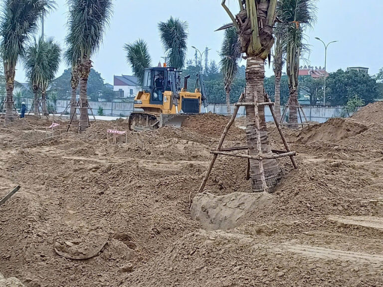 e8246694978c1fd2469d2